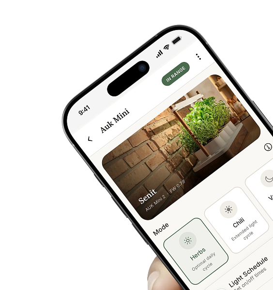 Ny app